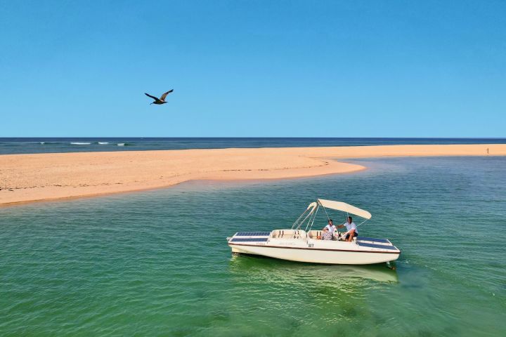 Faro Boat Trip – Birdwatching in Ria Formosa image