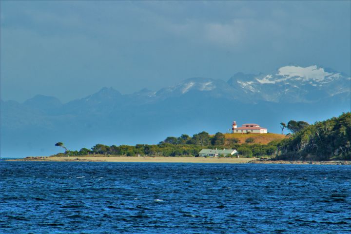 Coastal Fjords & Lighthouses Hiking Tour in Punta Arenas image