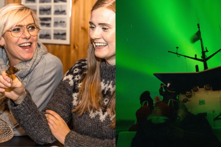 Reykjavik Food Walk & Northern Lights Boat Tour image