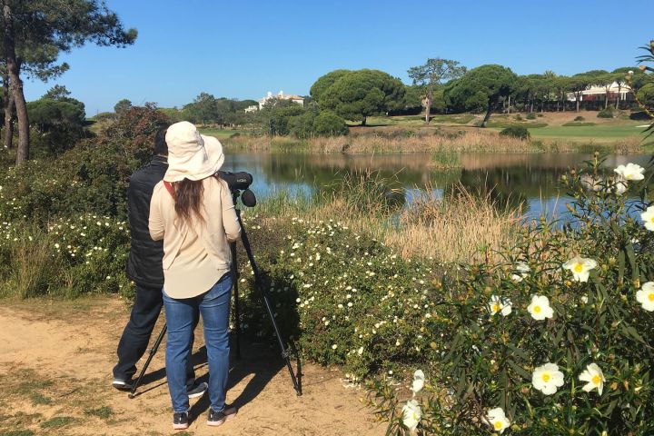 Guided Walking Tour of Ria Formosa around Faro image