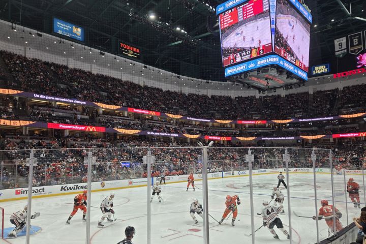 Anaheim Ducks Ice Hockey Game at Honda Center image