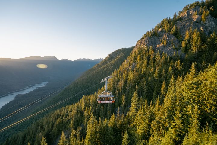 Ultimate Vancouver Tour with Capilano Suspension Bridge and Lunch  image