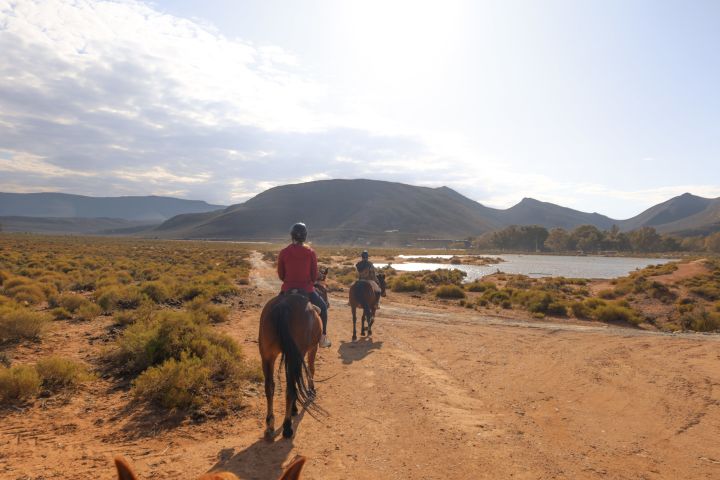 Aquila Horseback Safari image