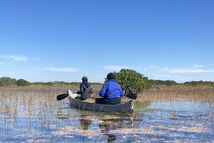 Guided Canoe Tour of Nine Mile Pond in Everglades National Park image