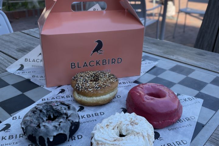 Harvard Square Donut Adventure image
