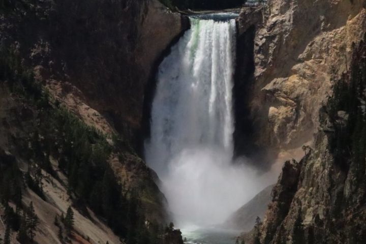 Jackson WY Yellowstone Lower Loop Wildlife & Geothermal image