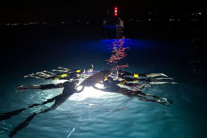 Combo Package Morning Snorkel and Manta Ray Snorkel in Kona image