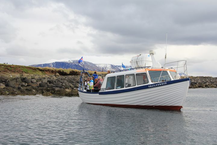 Ultimate Reykjavik City Walk and Puffin Tour image