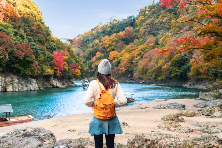 Best of Kyoto Half-Day Tour – Small Group image