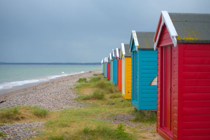 Moray Coast, Wildlife & Speyside Whisky Explorer Day Tour image