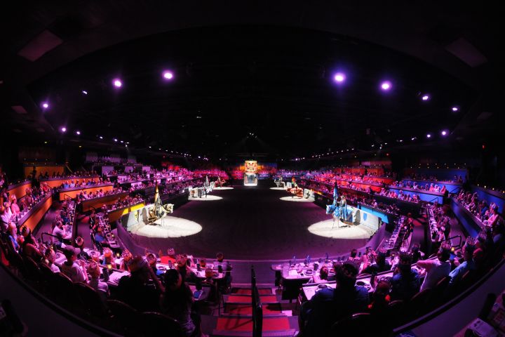 Medieval Times Atlanta Dinner Theater - New Show! image