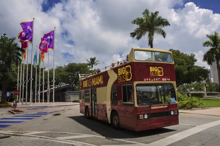 Miami Essential: 2-Day Hop-On Hop-Off Sightseeing Bus Tour + Boat Cruise image