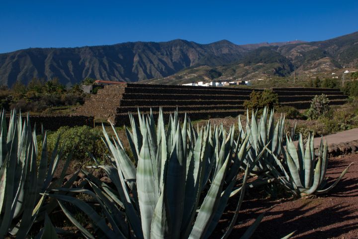 Die Pyramiden & vieles mehr image