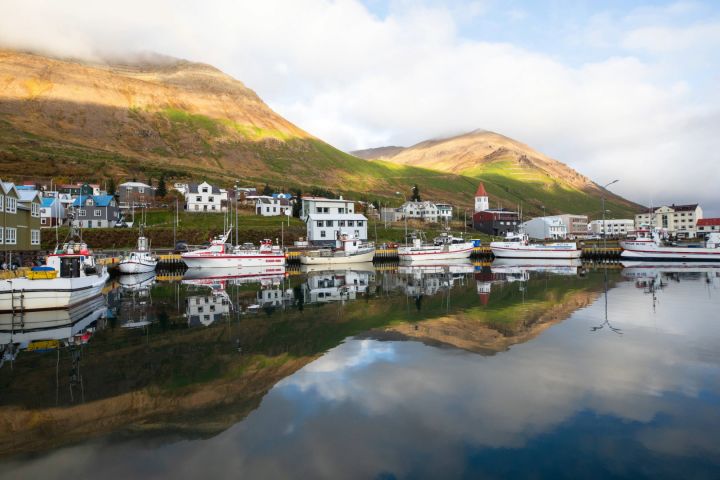 Private North Iceland Fjords & Horse Heritage Tour image