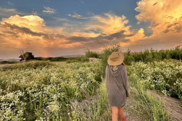 Wild Lines: Hikes for Creative Minds with Helena near Tahoe image