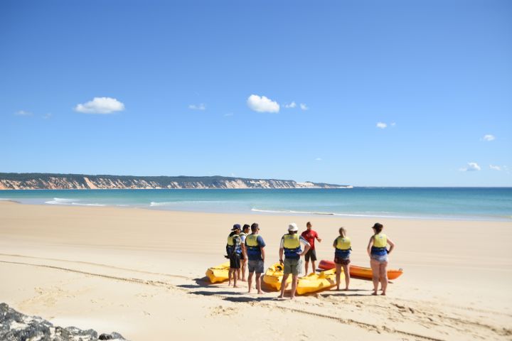 Noosa Private Eco Wildlife & Beach 4WD Tour image