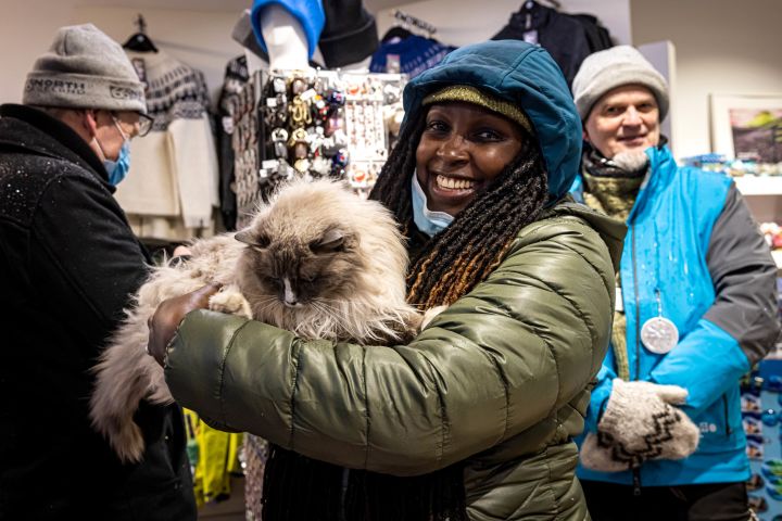 The Reykjavik Cat Walking Tour image