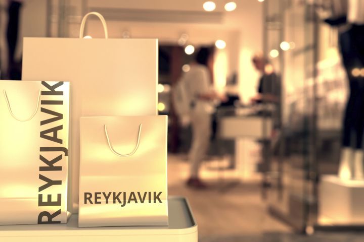 Private Reykjavik Shopping & Sightseeing Walking Tour image