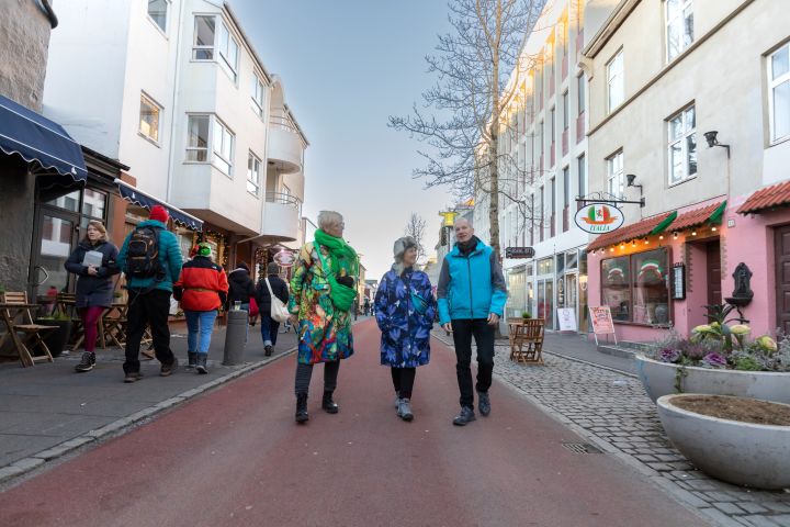Private Reykjavik Shopping & Sightseeing Walking Tour image