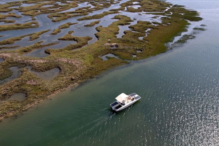 Ria Formosa Eco Boat Tour image