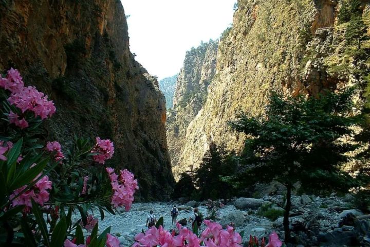 The Unique Private Tour of Samaria Gorge image