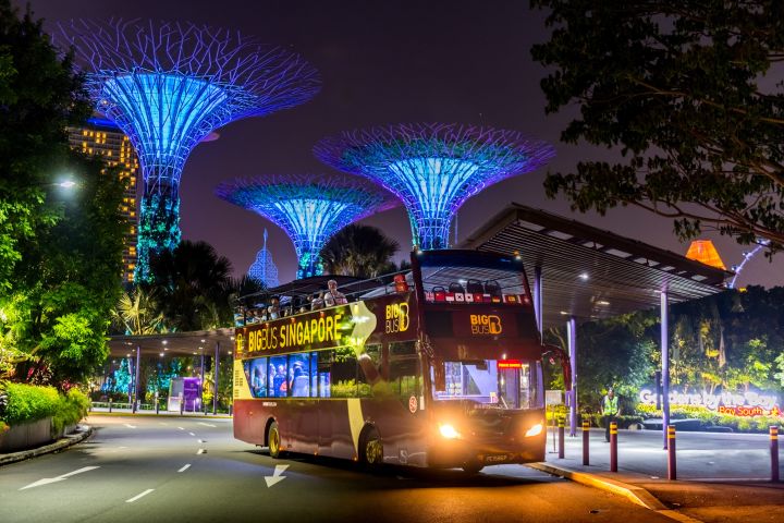 Singapore Christmas Light-Up Tour image