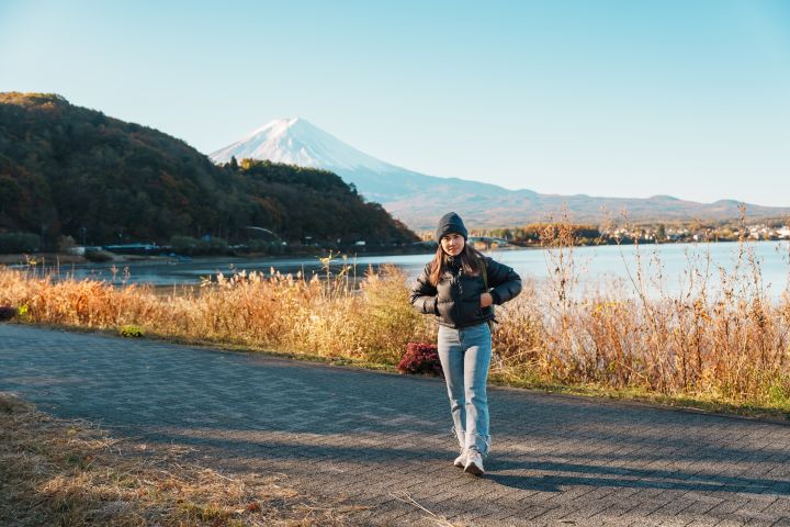 Mount Fuji & Lake Kawaguchi Small Group Day Tour from Tokyo image