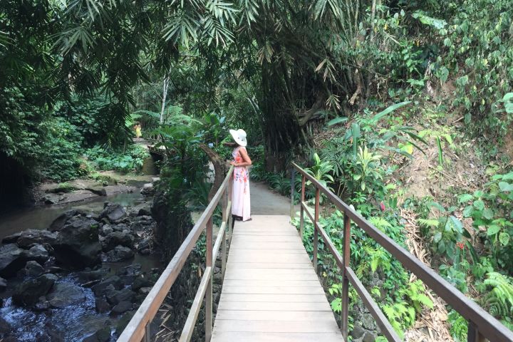 4 Easy Access Waterfalls Private Tour image