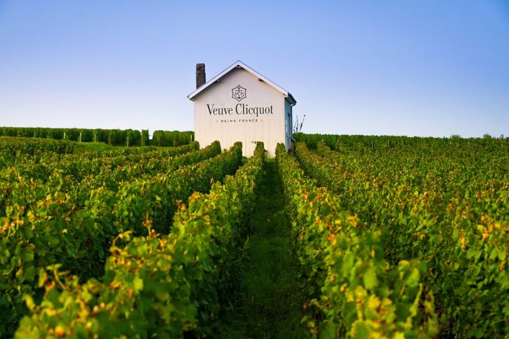 Champagne Full Day Tour From Reims (private)  image