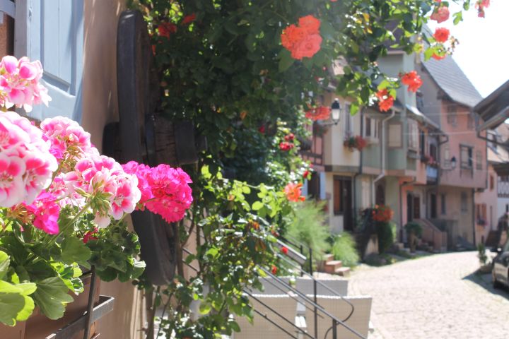 Alsace Villages Half-Day Tour from Strasbourg - Small Group image