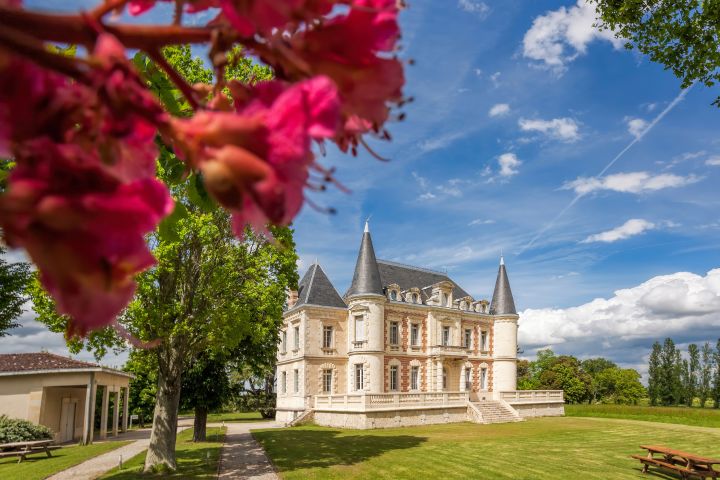4 Days Bordeaux Wine Lovers small group package (shared) image