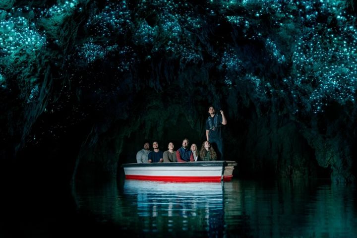 Waitomo Glowworm Caves Guided Tour image