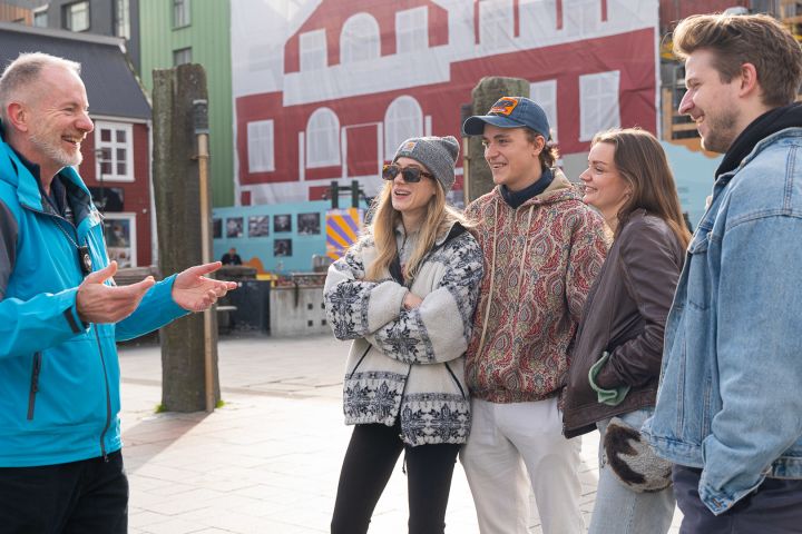 Reykjavik Odyssey: Walk, Talk, and Ride image