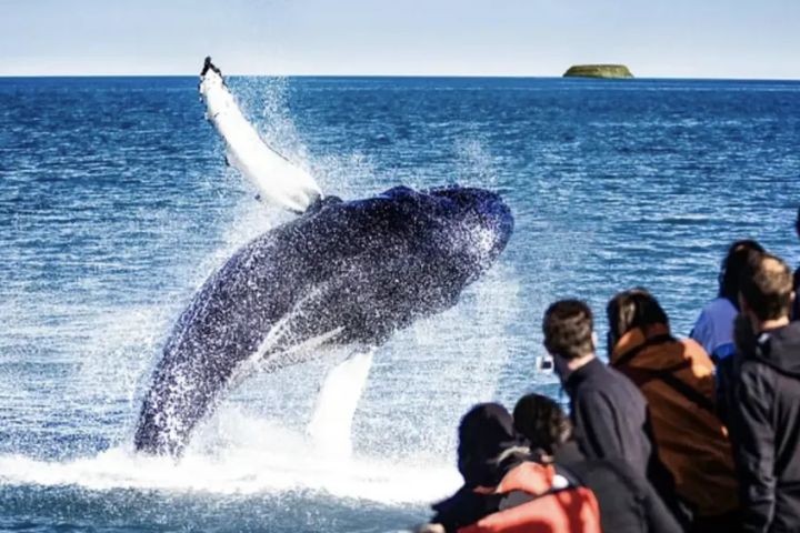 Private Nature Lovers Tour from Akureyri image