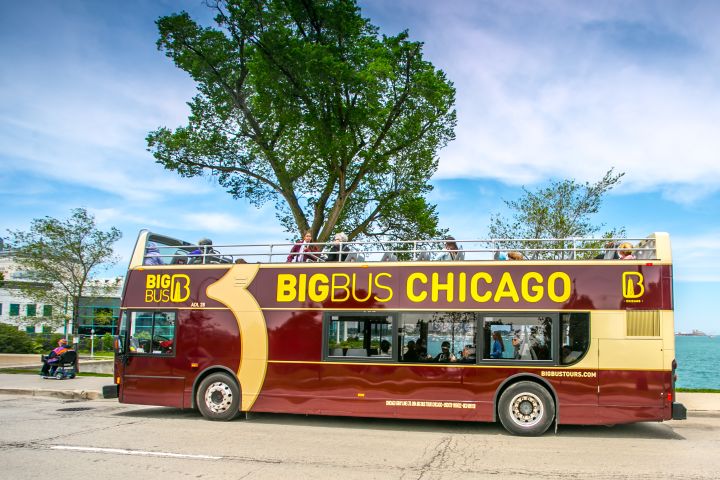 Chicago Essential: 48hr Hop-On Hop-Off Sightseeing Bus Tour image