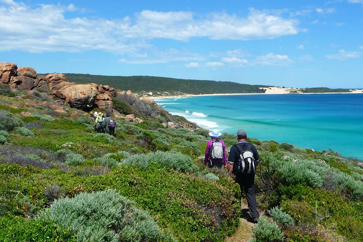 8-Day Cape to Cape Track Guided Walking Tour from Perth image