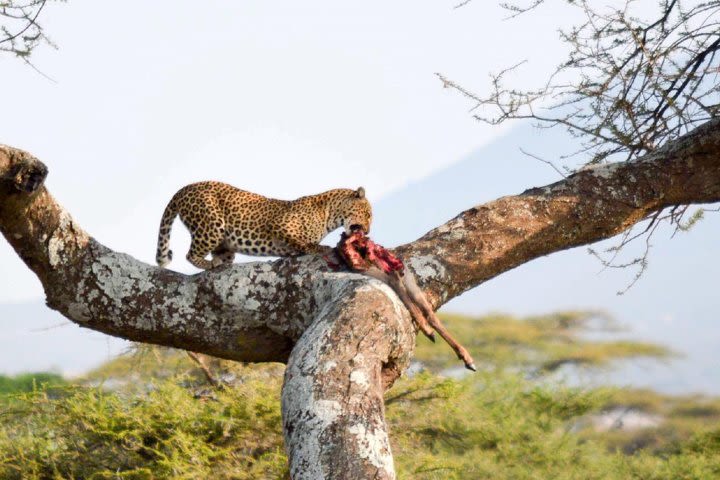 Northern Circuit Adventure image