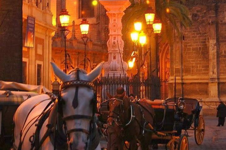 Horse and Buggy Ride in Seville with guide image