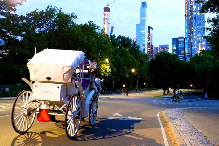 Central Park, Rockefeller & Times Square Horse Carriage Ride image