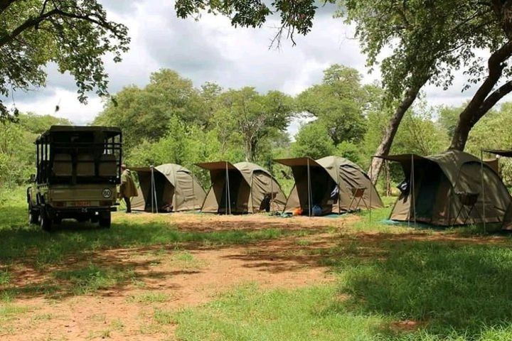 2 Nights Camping safari in Hwange National Park image