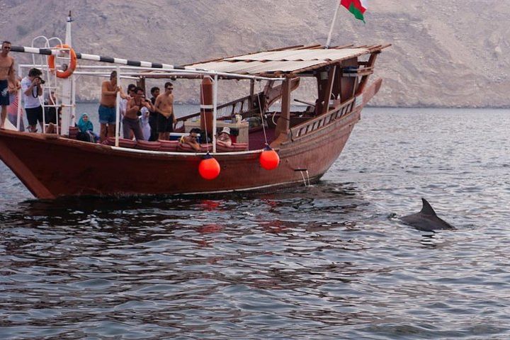 Half day dhow cruise to the Fjords of Musandam image