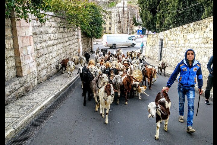 In Jesus' Footsteps: Mount of Olives Live Virtual Tour image