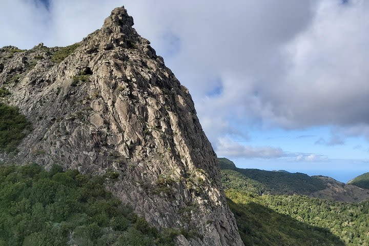 Tour of the island of La Gomera image