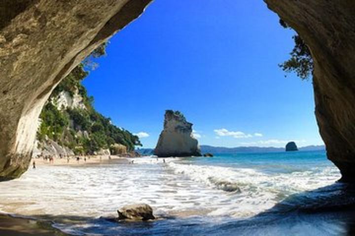 Coromandel Peninsula Highlights Small Group Tour from Auckland  image