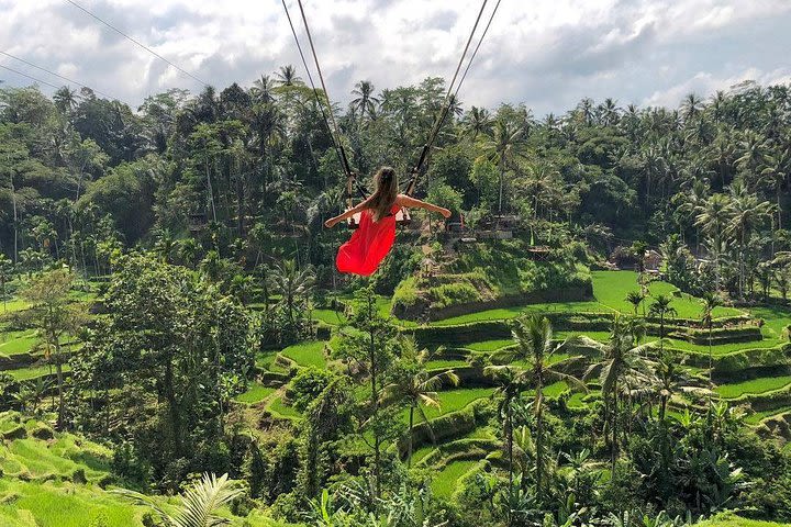 Ubud : Monkey Forest - Jungle Swing - Rice Terrace - Water Temple and Waterfall image