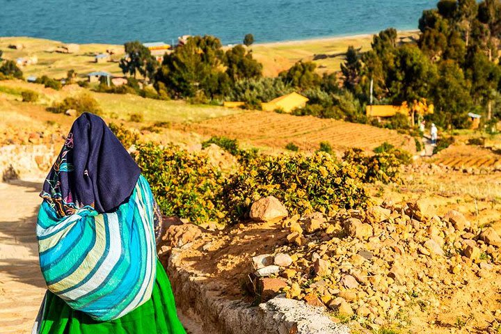 Tour Uros Islands, Amantani and Taquile 2days image