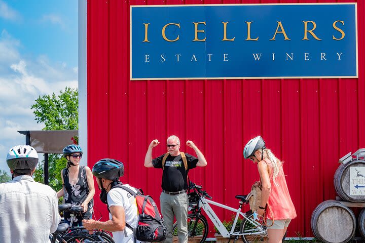 Guided Wine Tour on Electric Bike in Niagara-on-the-Lake, St David's Bench image