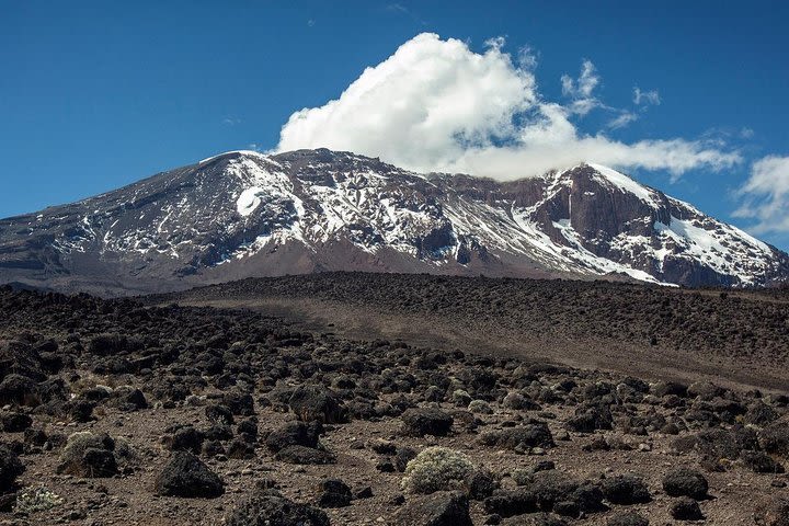 Mount Kilimanjaro Umbwe Route image