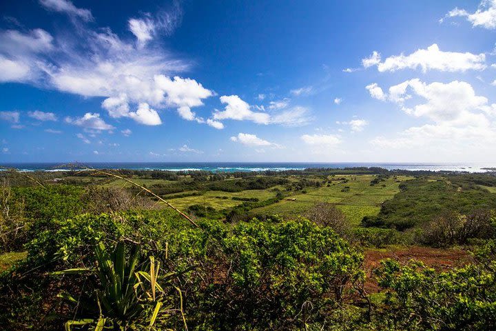 Horseback Ride Like an Authentic Paniolo in Kahuku image