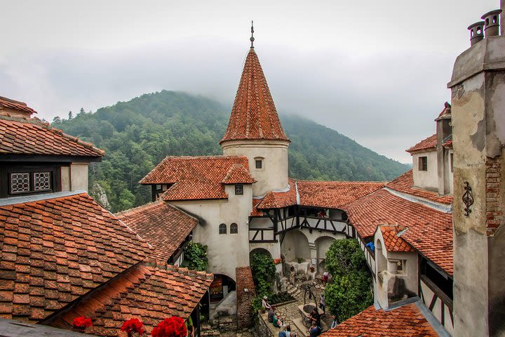 Guided visit in Spanish to the Castle of Dracula in Bran (native Spanish guide). image